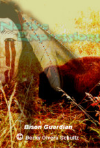 Bison Guardian-©Becky Olvera Schultz